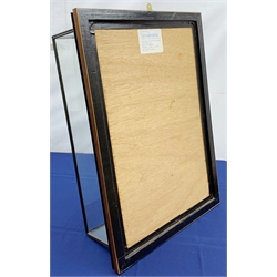 Taxidermy: 20th century cased common wood pigeon (Columba palumbus), full mount perched upon branch section, set against a painted sky backdrop, encased within a five pane display case with frame mount, with taxidermists paper label verso detailed David Astley Taxidermist, H63cm L45cm D18.5cm 