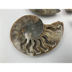 Two pairs of sliced ammonite fossils with polished finish, age: Cretaceous period, location: Madagascar, largest D7cm