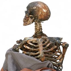 FILM PROPS; Three decomposing prop cadavers, collection of three life-size decomposing cadaver or dead body props, featuring skeletal elements, exposed flesh, and period clothing, each with articulated joints and limbs, likely from a TV or film production, each prop displays intricate detailing with realistic aging and weathering, together with post mortem cards detailing circumstances of death and identity, with two associated body bags max 160cm (3) 
Notes: the post-mortem cards correlate to a plane crash in 1972 - the Uruguay Air Force Flight 571 in the Andes Mountains; two movies were made about this event. Allegedly, the survivors resorted to cannibalism. 