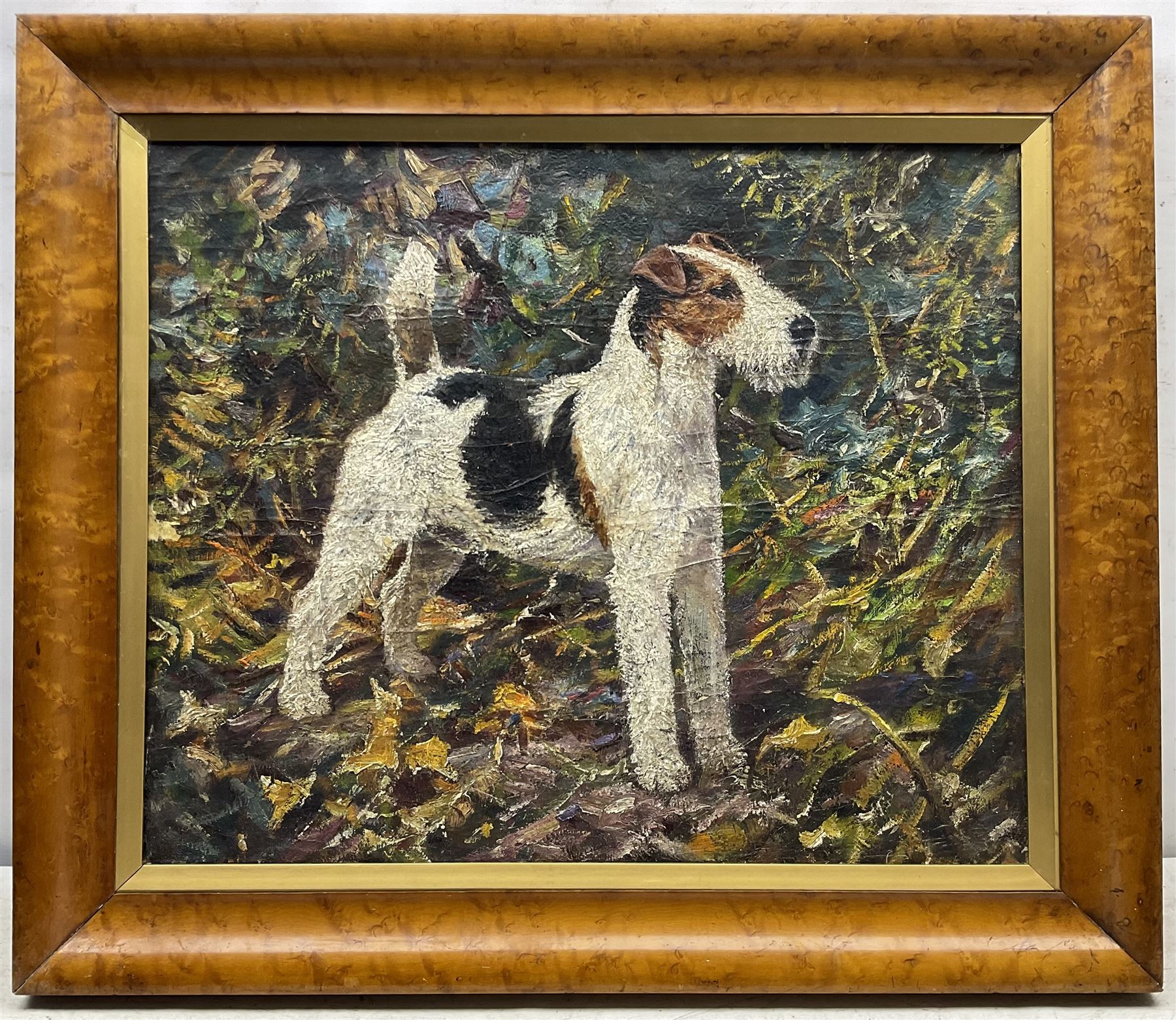 Frederick Thomas Daws (British 1878-1956): Wire Fox Terrier, oil on canvas unsigned 50cm x 61cm