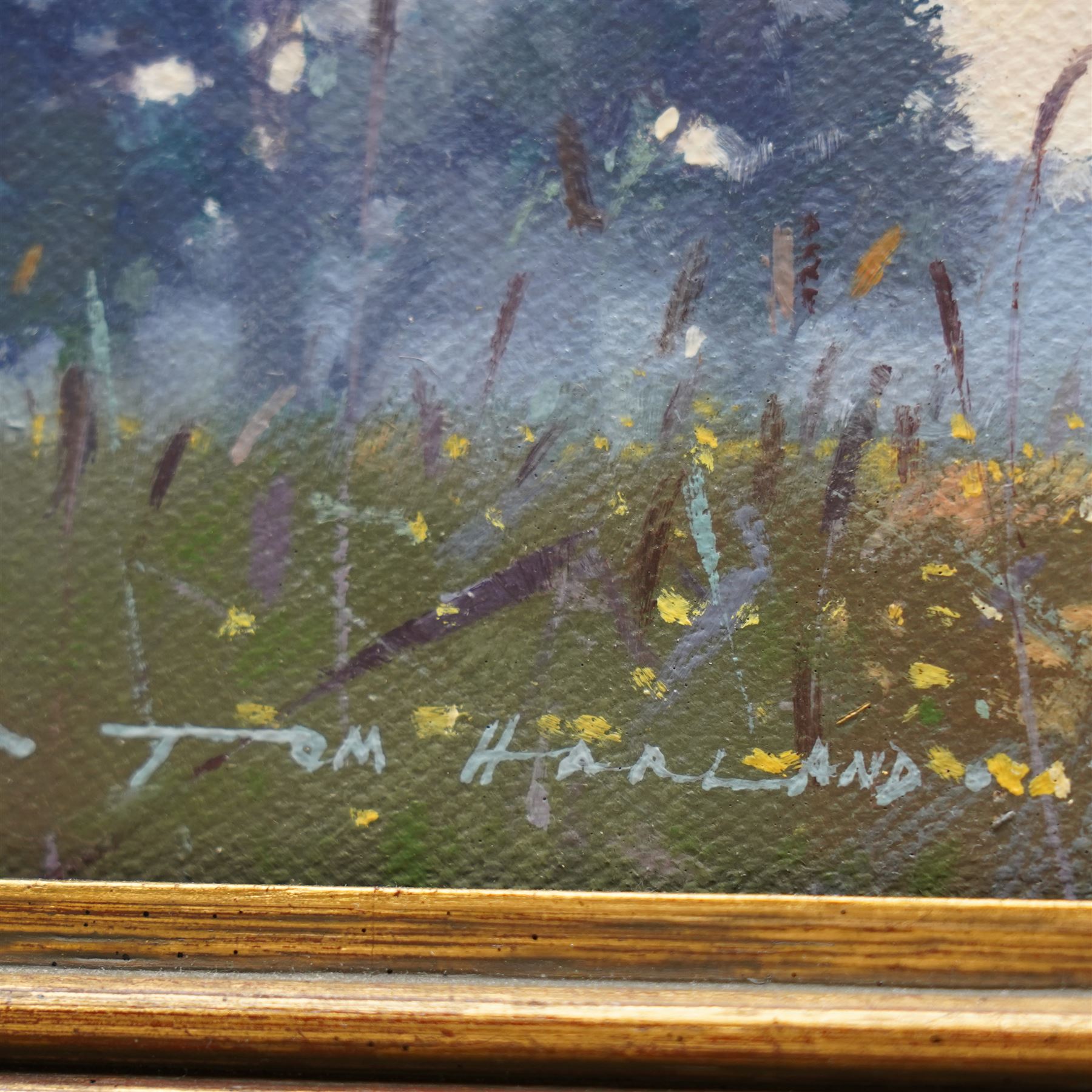 Tom Harland (Yorkshire 1945-2012): 'A Rash of Buttercups - South Dawton', oil on canvas signed, titled verso 20cm x 25cm