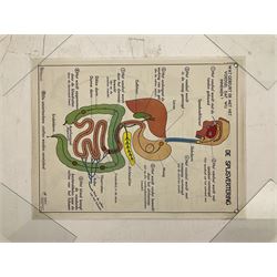 Five early 1980s Dutch medical posters, double sided decorated with colourful label anatomical diagrams, marked Hebri, Holland, W70cm H92cm