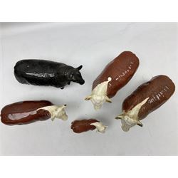 Five Beswick cows, comprising Aberdeen Angus cow, approved by the Aberdeen Angus Cattle Society no. 1562, Two Hereford Bulls, 'Ch. of Champions' no. 1363, Hereford  cow 'Ch of Champion' no. 1360, and calf no.1827, all with printed mark beneath 