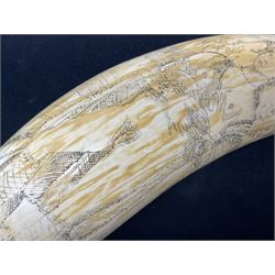 19th century scrimshaw sperm whale tooth from the whaler 'Dove' initialled J.A, Notes, Dove was a Union whaling boat, built at Newbury. Tt was scuttled as part of the Second Stone Fleet on January 25th-26th, 1862, in an attempt to block Charleston Harbor. The captain of the Dove was Captain James Wells Green Port. There were five members of the crew had the initials J.A, any of which could have created the scrimshaw.
