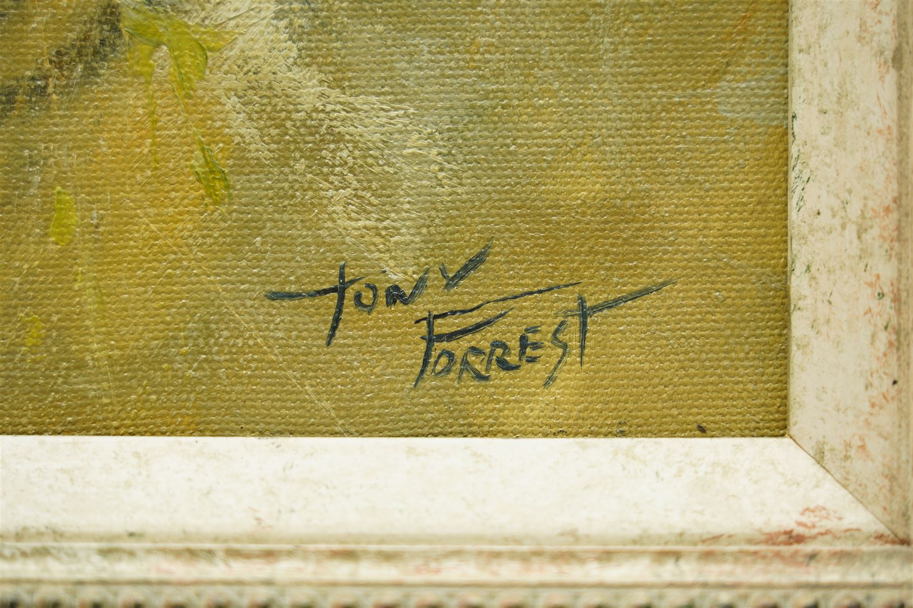 Tony Forrest (British 1961-): Study of a Tiger, oil on canvas signed 29cm x 39cm