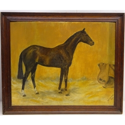  'Brettony' portrait of a brown mare (foaled 1936 property of Herbert Megginson), oil on board signed and dated by M F Dupois 1947, provenance verso 35cm x 44cm  