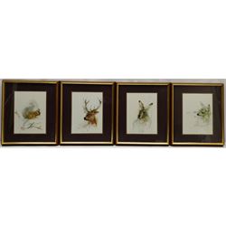 After Chad Stose (Contemporary): Animal Studies, set four colour prints 25cm x 18cm (4)