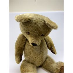 Very large Irish Tara bear c1950s with plush covered body, swivel jointed head with glass eyes and vertically stitched nose and mouth, jointed limbs with rexine pads and growler mechanism H37