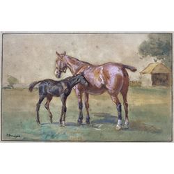 John Atkinson (Staithes Group 1863-1924): Mother and Foal, watercolour heightened with white signed 13.5cm x 20.5cm