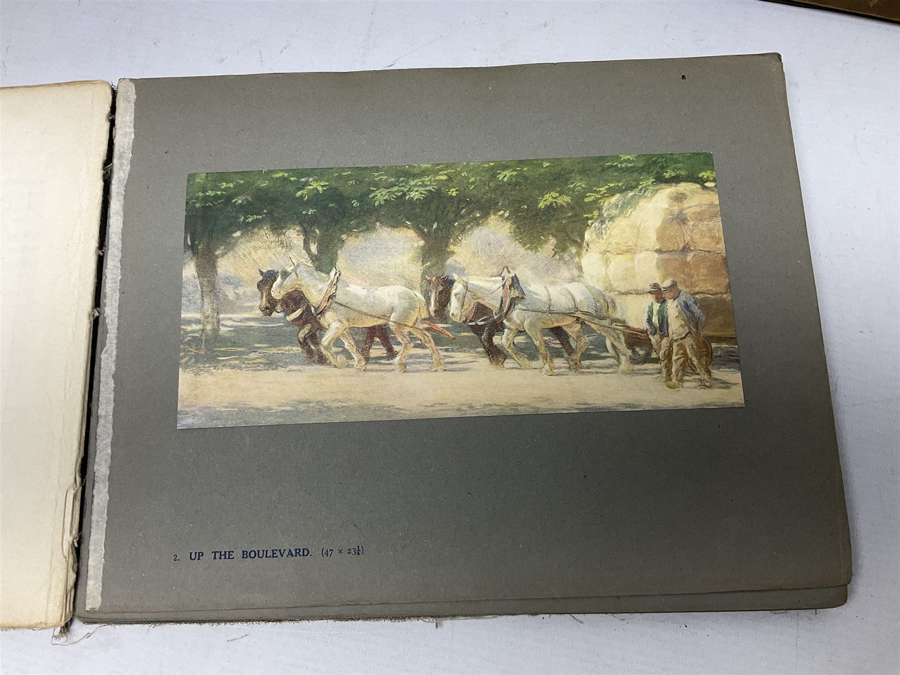Muybridge, Eadweard; The Human Figure in Motion, London, Chapman & Hall Ld, Art, Wright, J Wright; The Sculpture and Art Students' Guide to the Proportions of the Human form, plates reproduced by John Sutcliffe, Luard L.D; Horse and Movement, London Cassell and Company ltd, with eight plates in colour and twenty-four in half-tone, together with other folious    