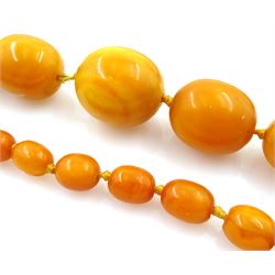 Single strand graduating oval butterscotch amber bead necklace