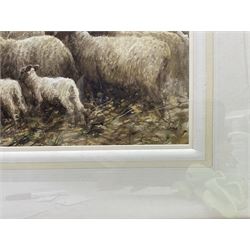 John Robert Keitley Duff (British 1862-1923): 'Letting them Out', watercolour signed, titled on label verso, 35cm x 52cm