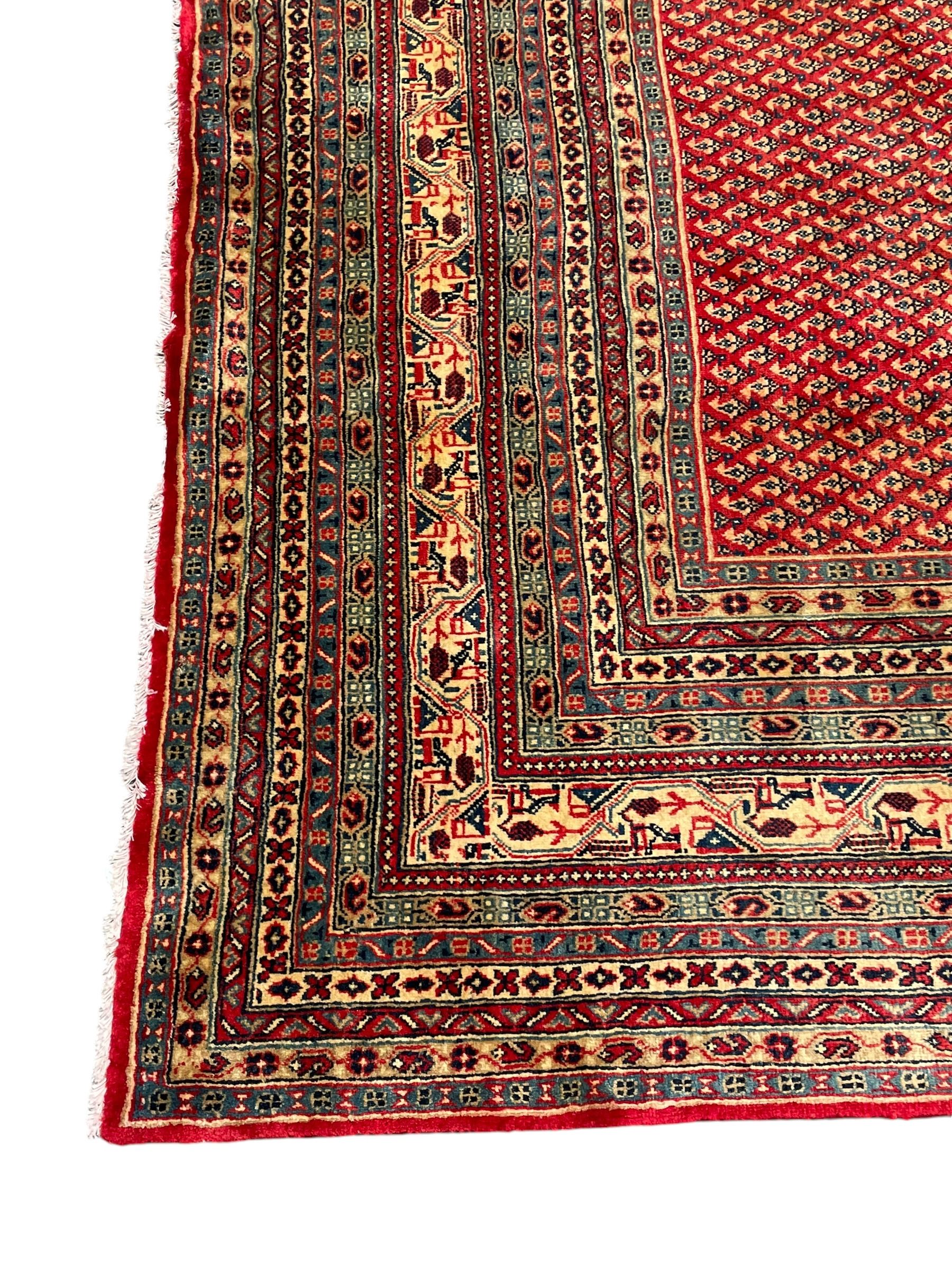 Persian Arak crimson ground carpet, the field decorated profusely with small repeating Boteh motifs, enclosed by multiple border bands decorated with repeating geometric and hook motifs