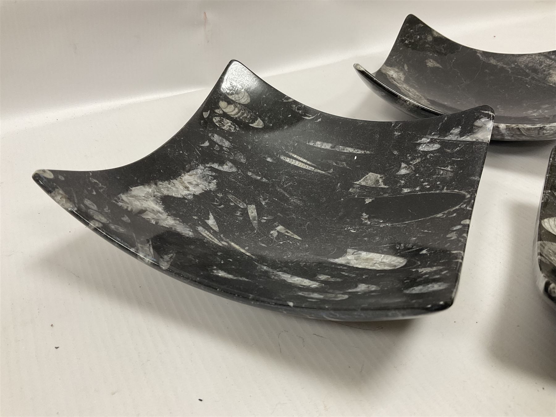 Set of four square dishes in two sizes, each with orthoceras and goniatite inclusions, age: Devonian period, location: Morocco, large dish D16cm
