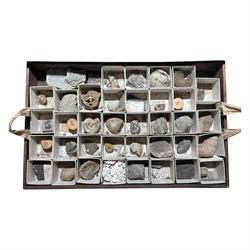 19th century box holding a collection of British Fossils, with makers label to the lid 'Collection of British Fossils to illustrate the textbooks and manuals of geology by Lyell, Page, Green & C, Arranged stratigraphically by James R. Gregory & Co mineralogisits .....', all samples numbered with and scribed name labels    
