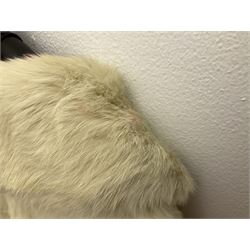 Brown mid length musquash fur coat by National Fur Company together with white rabbit cape