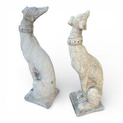Pair of small cast stone  seated garden greyhounds, on square plinth bases