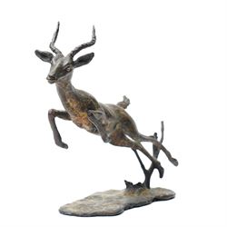 Bronze figure of a leaping impala, W20cm 