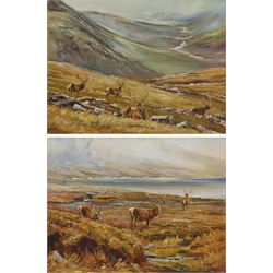 Vittorio (Victor) Antonio Cirefice (Welsh 1949-): 'Waiting for Him to Get Up' and 'Summer Evening Feed' in the Scottish Highlands, pair oils on canvas signed, inscribed verso 35cm x 45cm (2)