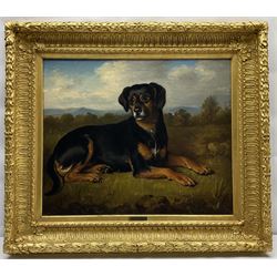 W R Waters (British fl.1829-1877): Manchester Terrier in Landscape, oil of canvas signed and dated 1859, 49cm x 60cm