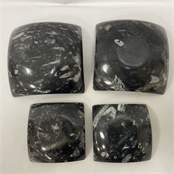 Set of four square dishes in two sizes, each with orthoceras and goniatite inclusions, age: Devonian period, location: Morocco, large dish D16cm