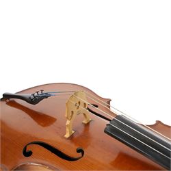 19th century cello, with two piece back, ebonised finger board and pegs, contained within Hiscox Lifelite case, cello back length 76cm