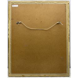 Cyril David Johnston (British 1946-): Peregrine Falcon, watercolour signed 53cm x 39cm