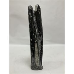 Orthoceras fossil tower, age: Devonian period, location: Morocco, H33cm