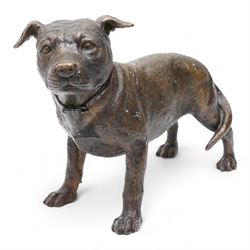 Leonardo - Large 20th century bronze figure of a Staffordshire Terrier L43cm