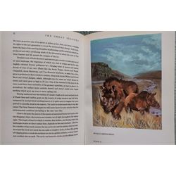 Sheila Gertrude Mackie (Northern British 1928-2010): Sumatran Rhinoceroses in the Plains and Alligator in Volcanic Landscape, pair oils on board signed with initials max 51cm x 38cm (2)
Notes: these pictures are originals from the illustrations used in 'The Great Seasons’ by David Bellamy