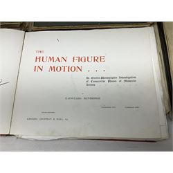 Muybridge, Eadweard; The Human Figure in Motion, London, Chapman & Hall Ld, Art, Wright, J Wright; The Sculpture and Art Students' Guide to the Proportions of the Human form, plates reproduced by John Sutcliffe, Luard L.D; Horse and Movement, London Cassell and Company ltd, with eight plates in colour and twenty-four in half-tone, together with other folious    