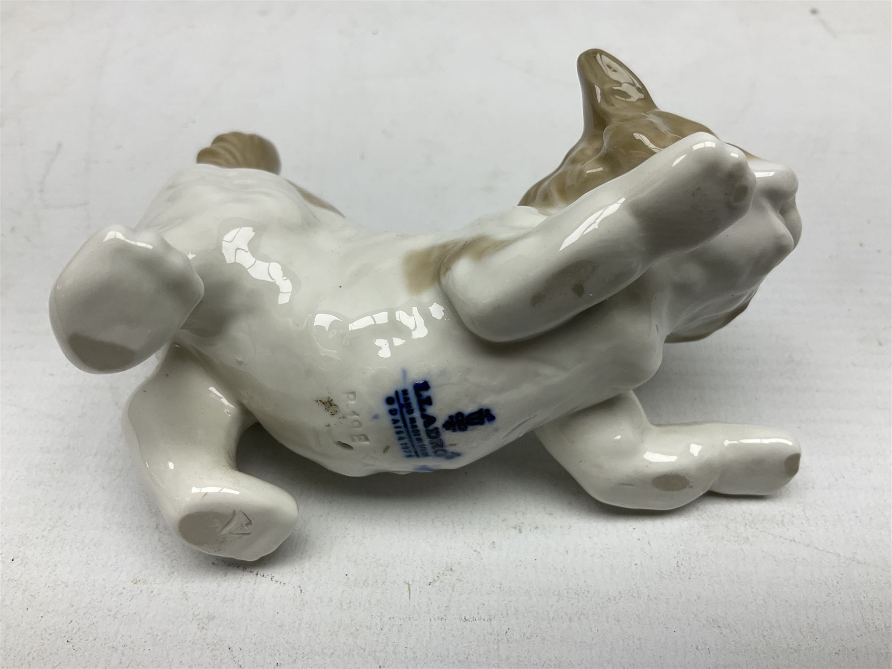 Six Lladro figures, comprising A Friend for Life no 7685, Rabbit Eating no 4773, Sitting Bunny no 5907, Washing up no 5887, Surprised cat no 5114 and Scar-dy Cat no 5092, all with original boxes, largest example H15cm 