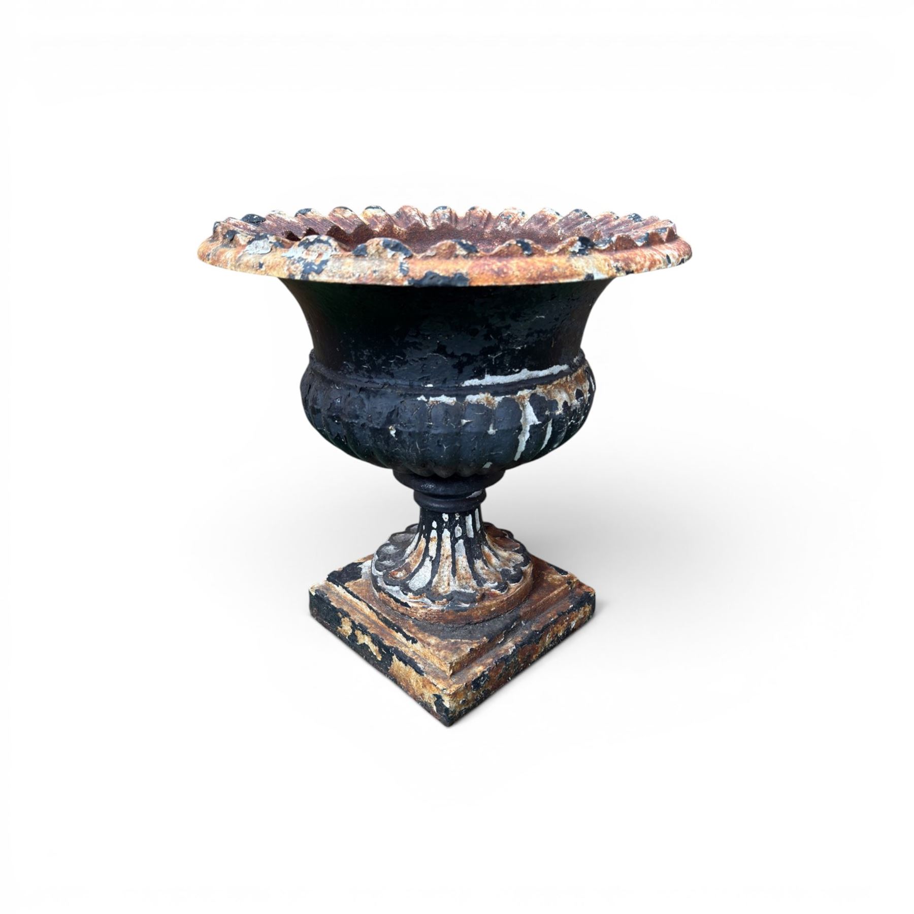 Circle of Coalbrookdale - 19th century cast iron and black painted campana shape urn with flared and scalloped rim, gadrooned underbelly on stepped square base