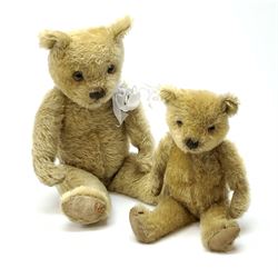 Two 1930s Chiltern type graduated teddy bears, one wood wool and one wood wool and kapok filled plush bodies, each with swivel revolving head, applied eyes and vertically stitched nose and mouth and jointed limbs, tallest H20.5