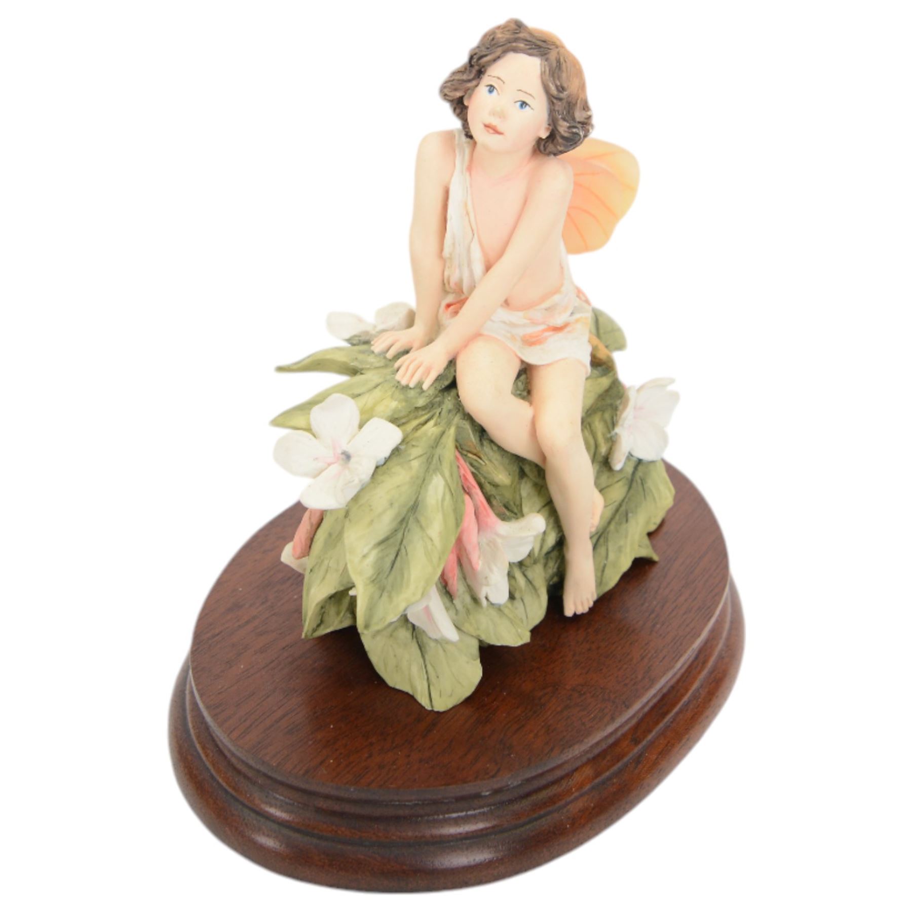 Nine Border Fine Arts Fairies figures, to include Jasmine fairy B0415, The White Bindweed Fairy CF26, Holly Fairy B0417,Wild Cherry Fairy CF25, Strawberry Fairy B0115, The Wind-Flower Fairy B0847, and Narcissus Flower Fairy CF24