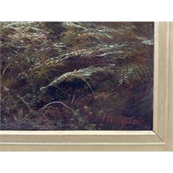 Hodgson (British late 19th century): Forest, oil on canvas signed 50cm x 67cm