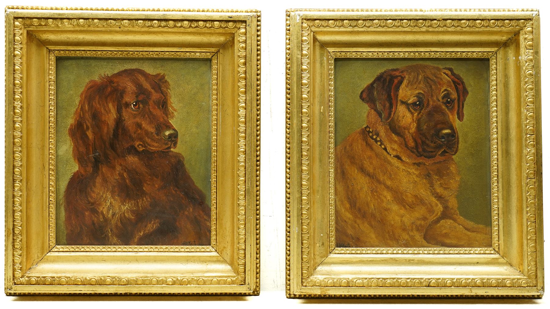 A W Keith (19th/20th Century): Mastiff and Red Setter Dog Portraits, pair oils on canvas signed and indistinctly dated, in matching gilt frames 28cm x 23cm  (2)
