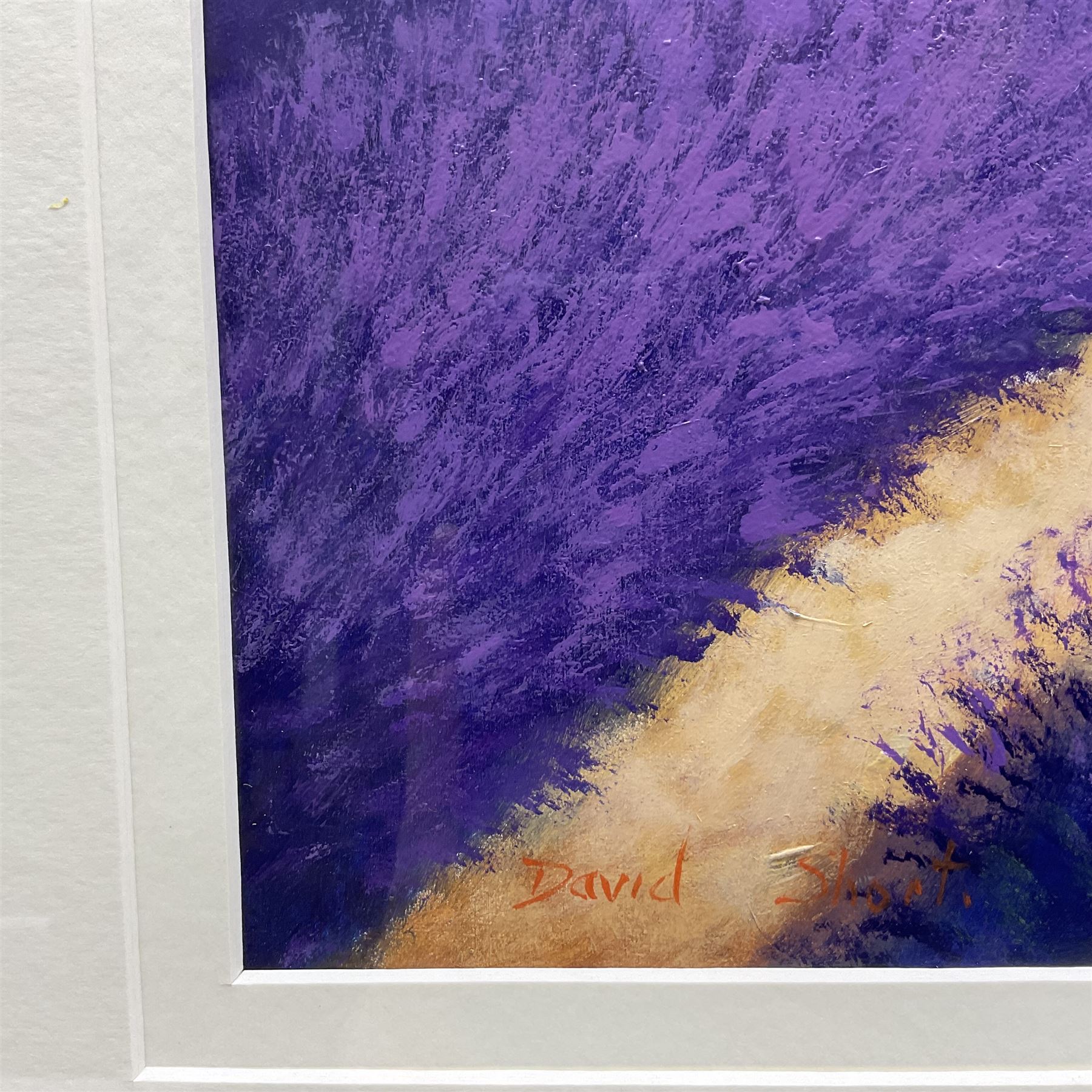 David Short (Nottingham 1940-): Tuscan Vineyards, two oils on board signed, 43cm x 43cm and 29cm x 59cm (2)