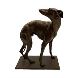 Sally Arnup FRBS, ARCA (1930-2015): Whippet Standing, bronze, signed and numbered VIII/X, upon short rectangular plinth, overall H63cm L49cm W23.5cm 


