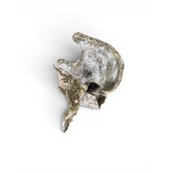 Composite stone sculptured figure playing a guitar, and a shell sculpture (2)