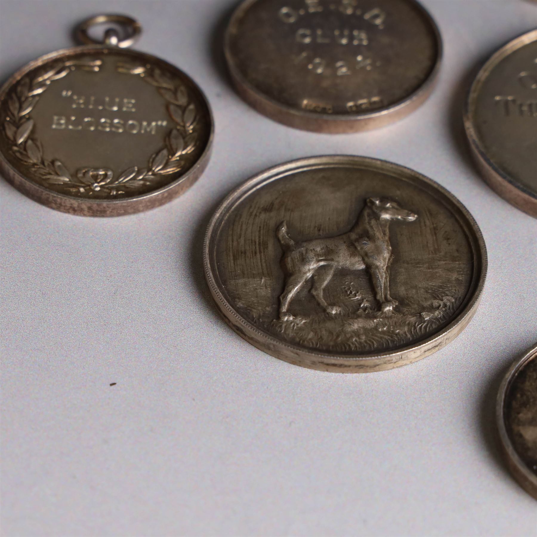 Seven 1920s Old English Sheepdog silver medals, all hallmarked, together with two further silver plated dog related medals