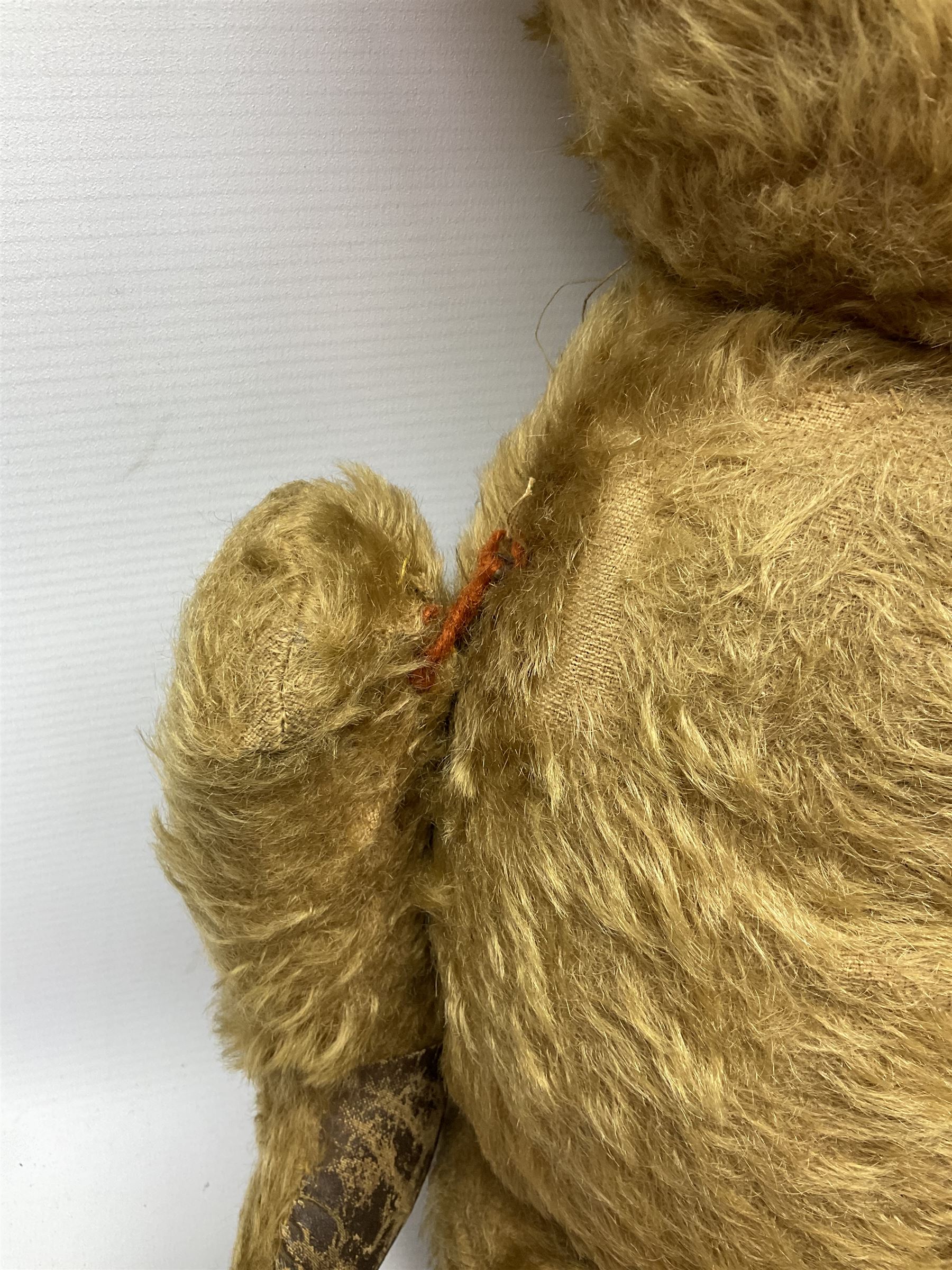 Mid-20th century plush covered teddy bear the revolving head with applied eyes, vertically stitched nose and jointed limbs with rexine pads H58cm; together with a leather backpack (2)