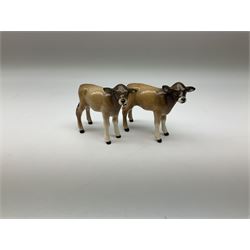 Beswick Jersey family group, comprising Jersey bull, 'Dunsley Coy Boy' model no 1422, cow, 'Newton Tinkle' model no 1345 and two calves model no 1249d