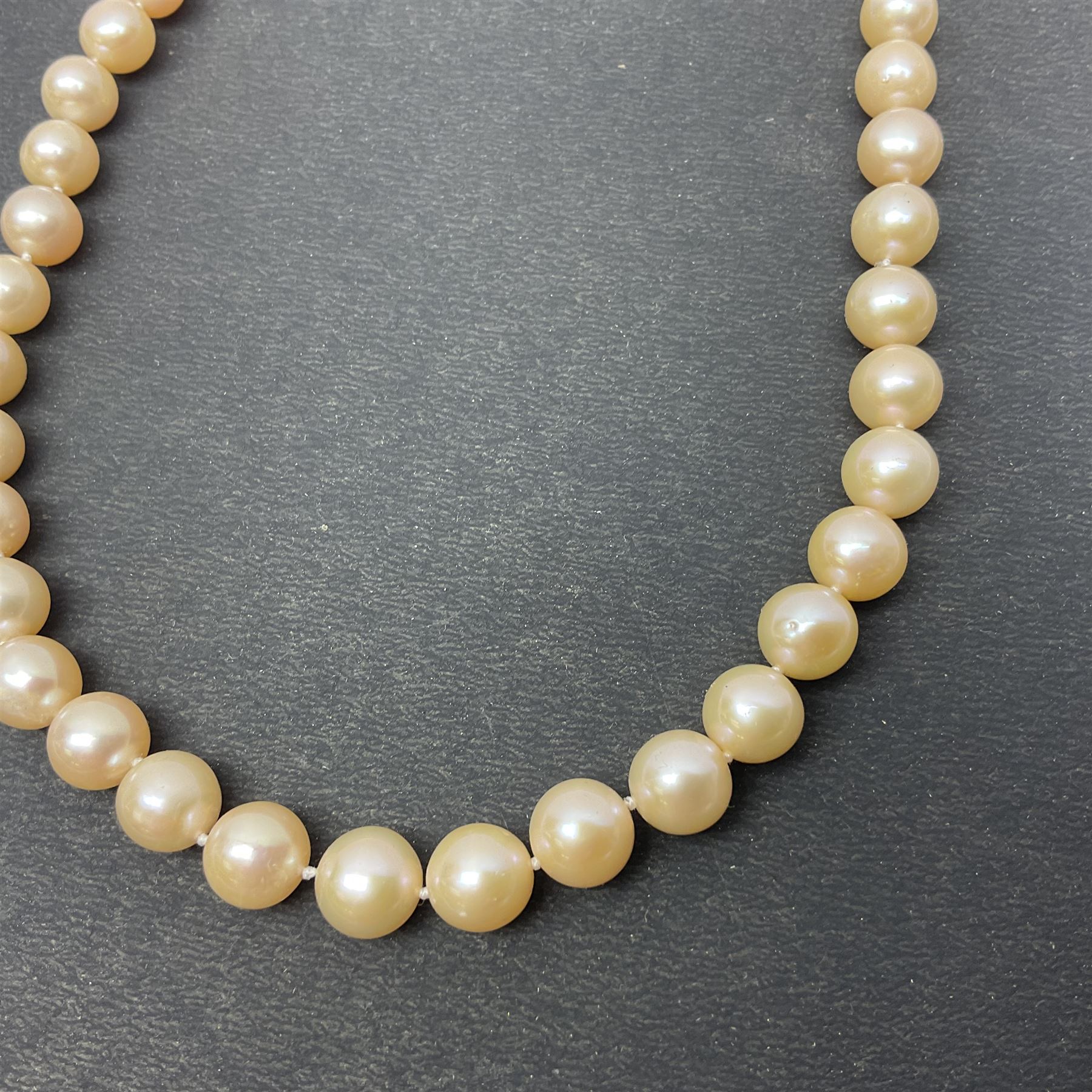 Pink fresh water pearl necklace, with silver clasp
