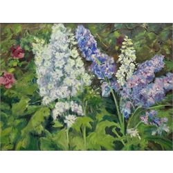 Catherine Tyler (British 1949-): 'Garden Delphiniums', oil on canvas signed and dated 2013, 75cm x 100cm