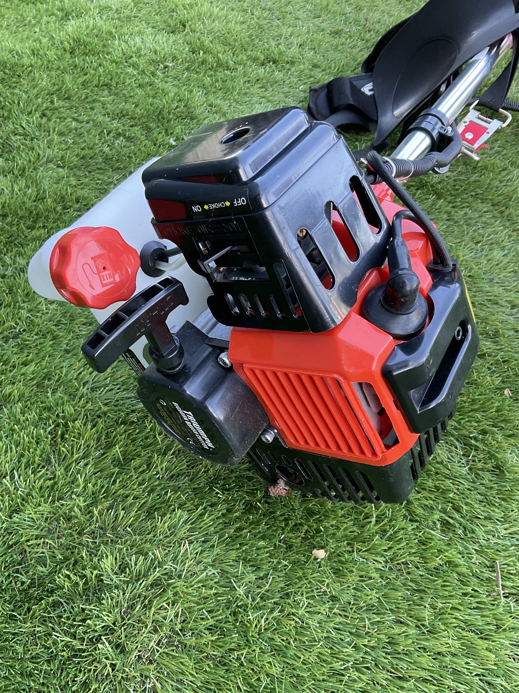 Triumph Bighorn brush cutter - unused - THIS LOT IS TO BE COLLECTED BY APPOINTMENT FROM DUGGLEBY STORAGE, GREAT HILL, EASTFIELD, SCARBOROUGH, YO11 3TX