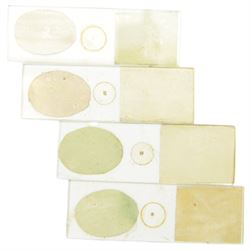 Four microphotograph slides, including two examples by John Benjamin Dancer titled HRH Prince Frederick William of Prussia and The Lords Prayer and two by Alfred Reeves titled Crinoline In Difficulties and Her Majesty Queen Victorian in her State Robes, all with retail sticker for J H Steward 406 The Strand, London