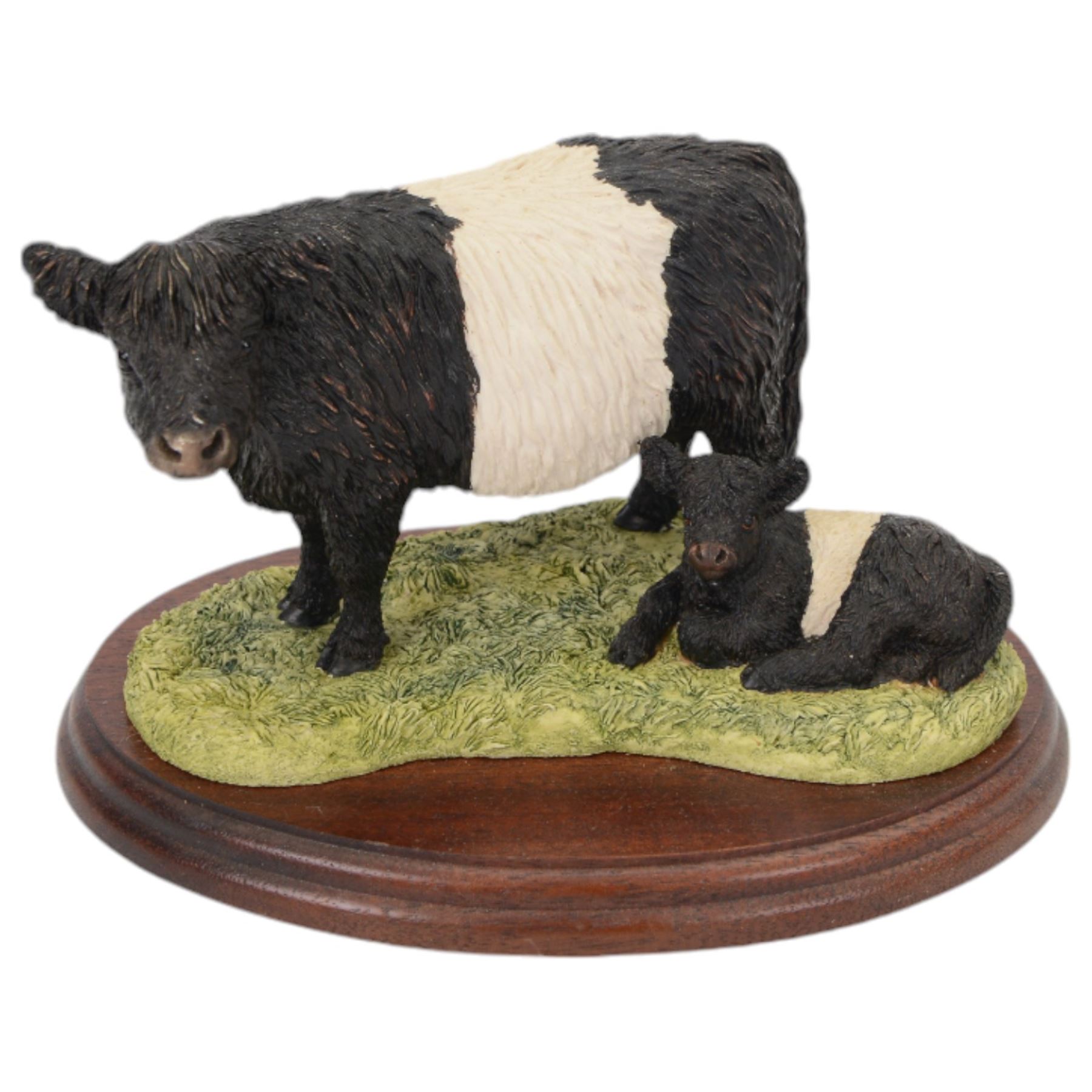 Border Fine Arts Belted Galloway Cow and Calf, on wooden base