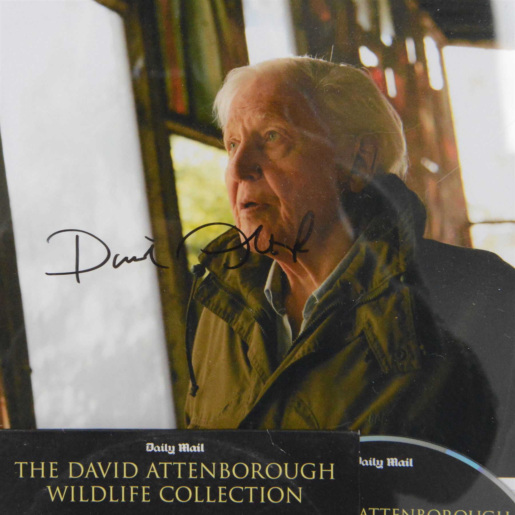 Signed David Attenborough photograph and a signed David Attenborough Life on Earth DVD sleeve, framed H32cm
