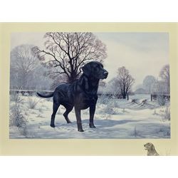 After Alan Ellison, limited edition colour print 'Working Springers' no.178/750 signed on the mount 43 x 59cm; and seven colour prints after Nigel Hemming of game birds and gun dogs; all framed (8)